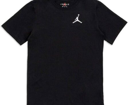 Jordan Boy’s Jumpman Air Embroidered Tee (Toddler/Little Kids)