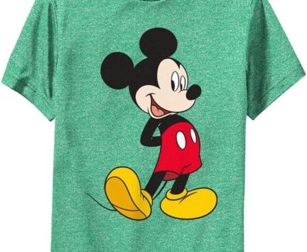 Disney Boys Characters Traditional Mickey Boy’s Performance Tee
