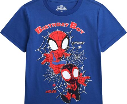 Marvel Birthday Boy Shirt – Spiderman Spidey and Friends Hulk Short Sleeve Graphic Tees Boys Birthday Shirt (Sizes: 3T-7)