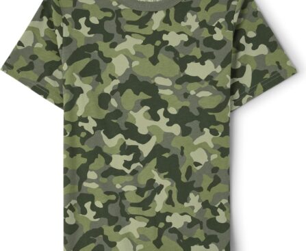 The Children’s Place Boys Short Sleeve Knit T-Shirt