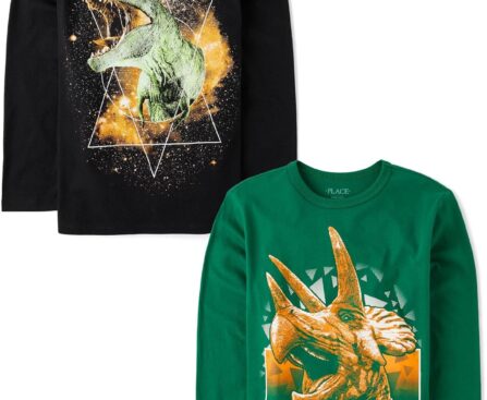 The Children’s Place,Boys,Dino Short Sleeve Graphic T-Shirts,Multipacks,Triceratop/Dino Galaxy 2-Pack,Large