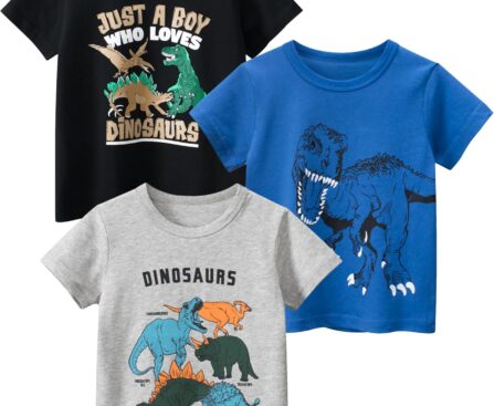 GFQLONG 3 Pack Toddler Boy Graphic Shirts, Dinosaur Short Sleeve Cotton Tshirt, Kids Summer Cars Tees Top Clothes