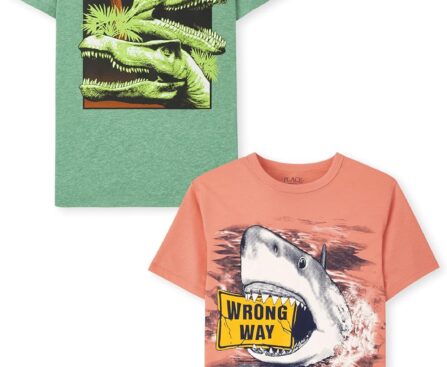 The Children’s Place Boys’ Gamer,Sports,Cars Short Sleeve Graphic T-Shirts,2 Pack