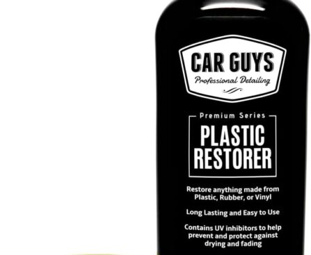 CAR GUYS Plastic Restorer | Bring Plastic, Rubber, and Vinyl Back to Life! | User Friendly Trim Restorer | Safe Auto Detailing Supplies | 8 Oz Kit with Foam Applicator