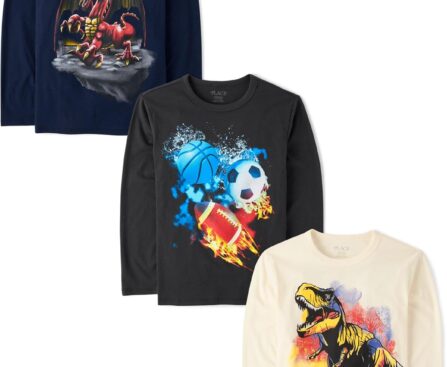 The Children’s Place Boys Dino Long Sleeve Graphic T-Shirts,multipacks