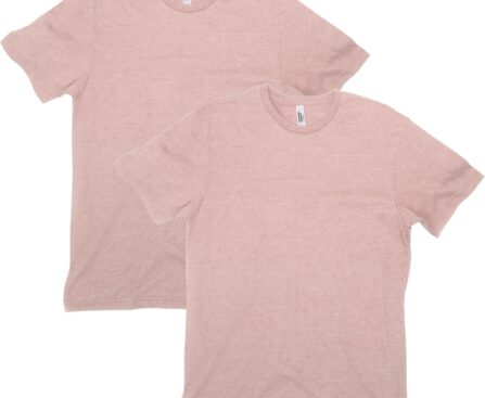 American Apparel Unisex-Adult CVC T-Shirt, Style G2001cvc, 2-Pack