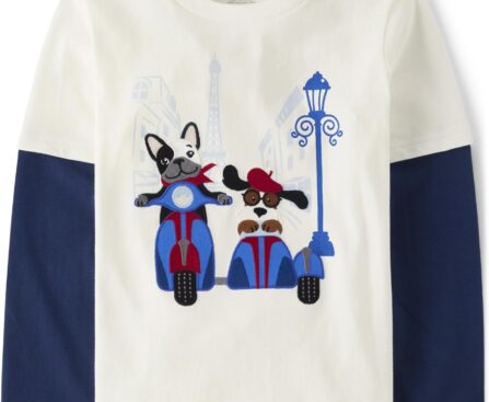 Gymboree Boys and Toddler Embroidered Graphic Long Sleeve Layered T-Shirts