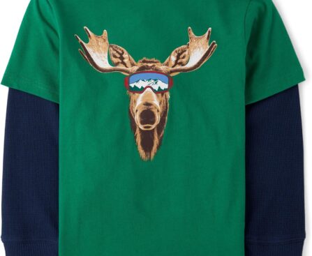 The Children’s Place Boys Long Sleeve Graphic Layered T-Shirt