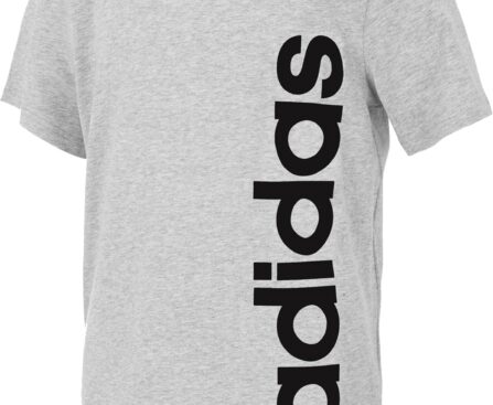 adidas Boys Short Sleeve Linear Logo T-Shirt