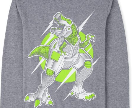 The Children’s Place Boys’ Dinos,Cars,Sports Long Sleeve Graphic T-Shirts